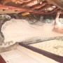 IMG_1645 IMG_1645