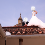 vestido_5