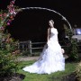DSC_0061 DSC_0061