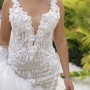 IMG_3588 IMG_3588