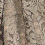 B32750E4-2741-4D8E-8CDE-01AF7D11AD9B