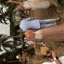 IMG_2663 IMG_2663