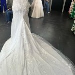 IMG-20240319-WA0236 IMG-20240319-WA0236