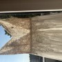 Kleid6 Kleid6