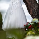 IMG_1869
