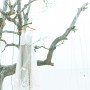 _JRG8055 _JRG8055