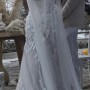 IMG_1775 IMG_1775