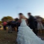 P1000500 P1000500