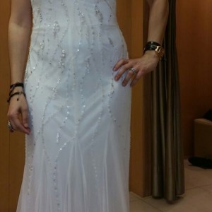 IMG_2731 IMG_2731