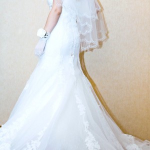 IMG_0741 IMG_0741