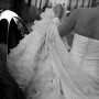 IMG_1559 IMG_1559