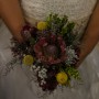 IMG_7582 IMG_7582