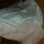 20160420_121325