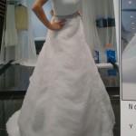 1464359464260-19695822