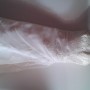20160515_181558