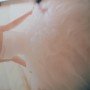 20160927_151946