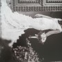 IMG-20160928-WA0003 IMG-20160928-WA0003