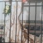 IMG-20160928-WA0007 IMG-20160928-WA0007