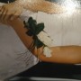 IMG_20161128_085814 IMG_20161128_085814