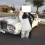 vestido4 - copia