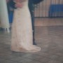IMG_20170225_172204