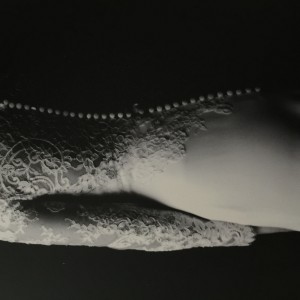 IMG_2675 IMG_2675