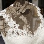 IMG_3164 IMG_3164