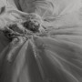 IMG_6569 IMG_6569