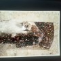 IMG_20180214_155206