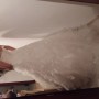 20180928_202057
