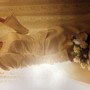 IMG_7675 IMG_7675