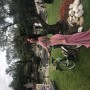 IMG-3896 IMG-3896