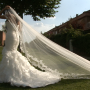 Image47 Image47