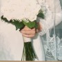 IMG_5334 IMG_5334