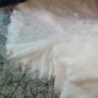 IMG-20190620-WA0001