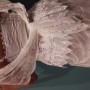 20190729_222007