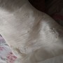 DSC_0616 DSC_0616