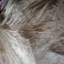 DSC_0638 DSC_0638