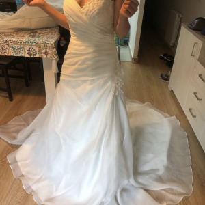 A2C2D568-6A18-4DD5-8DA9-8D2F5C733A87