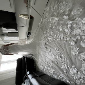 IMG_0736 IMG_0736