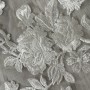IMG_0742 IMG_0742