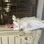 IMG_2337 IMG_2337