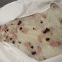 IMG_9847 IMG_9847