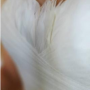Capture1 Capture1