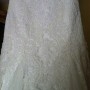 IMG_3798 IMG_3798