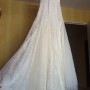 IMG_3808 IMG_3808