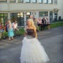 SNV33701 SNV33701