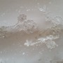 20141115_152654 20141115_152654