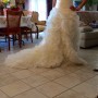 IMG_0001 IMG_0001