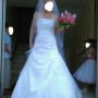 IMG_4006 IMG_4006